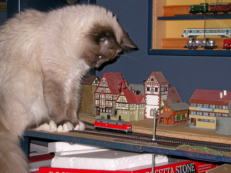 002 Erste Digitalfahrt im Enntal.JPG - Rückblick: März 2006 - erste digitale Testfahrt im Enntal